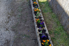 IMG_20220326_122040